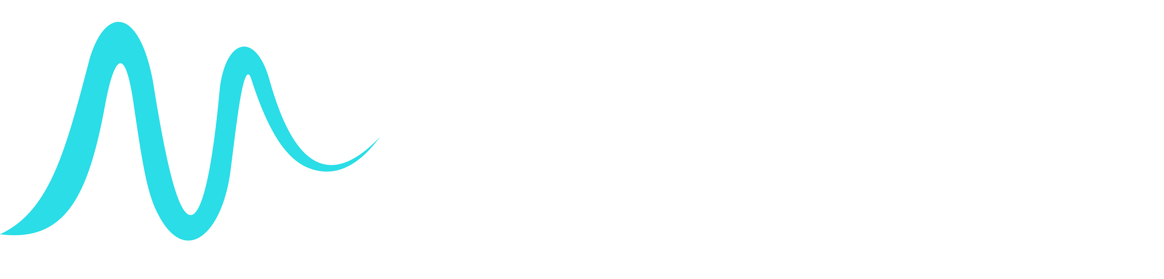 Magiz Werbeagentur Logo